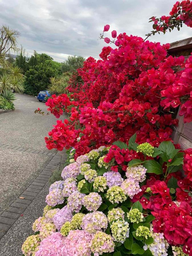 Oneroa Bay Villa Waiheke Eksteriør billede